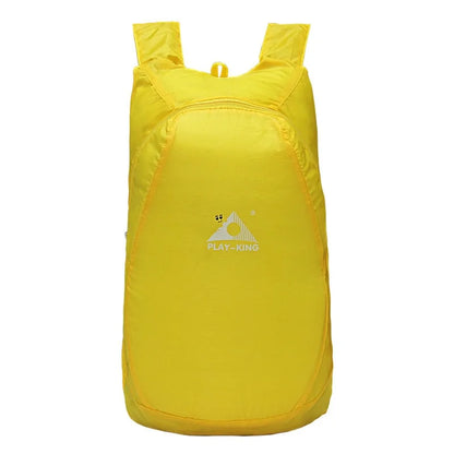 Compact Explorer Backpack